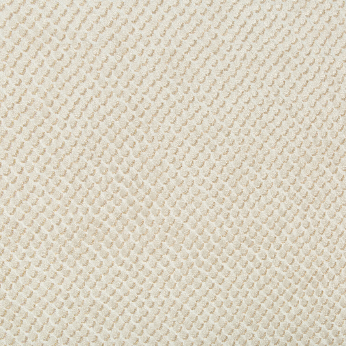 34051160-mazzy-dot-parchment-kravet-design