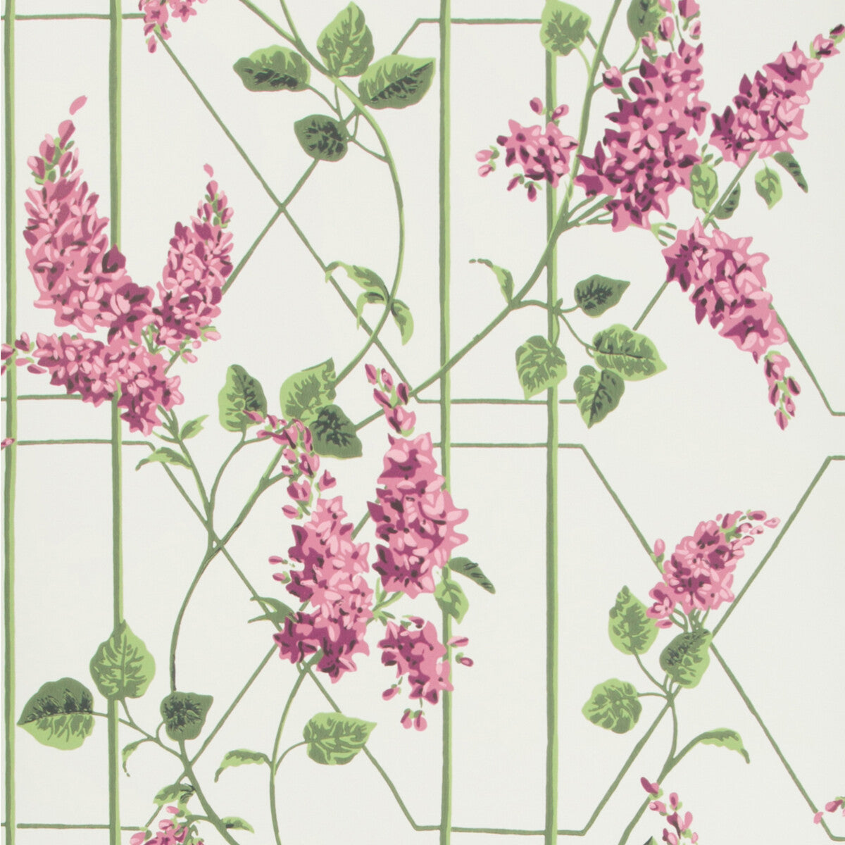 1155013cs0-wisteria-magentagreenwh-cole-son