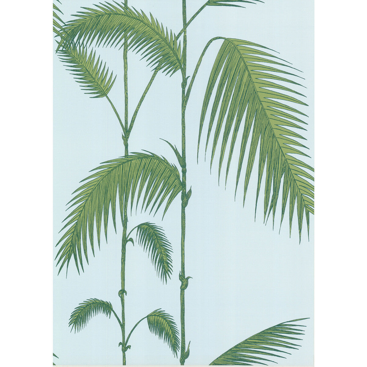 662010cs0-palm-leaves-pale-bl-cole-son