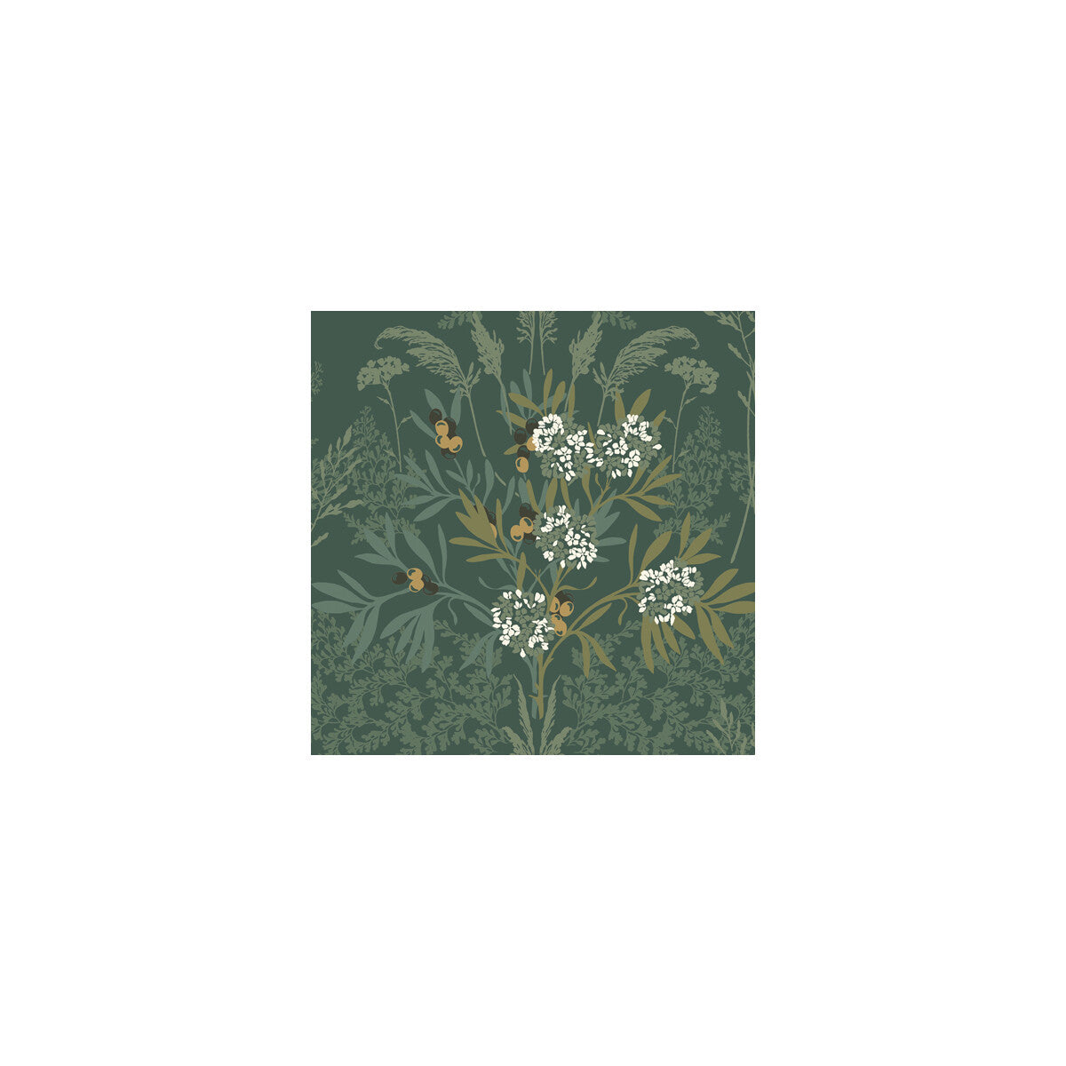 wdr2009wt0-fern-gardens-green-winfield-thybony
