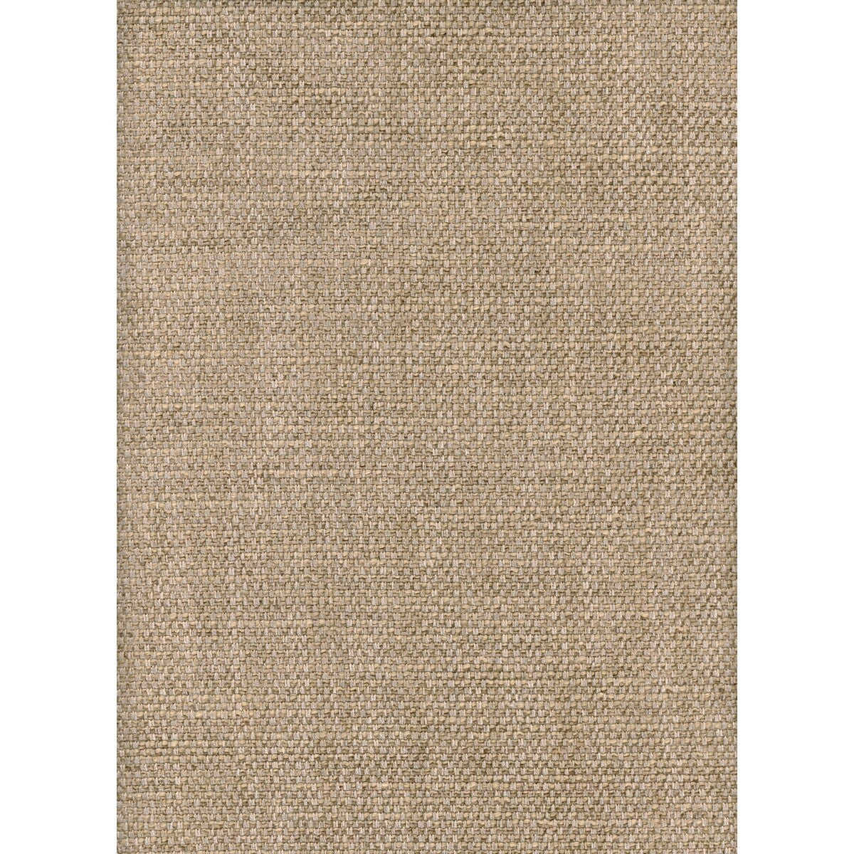 am1002991060-paraggi-wheat-kravet-couture