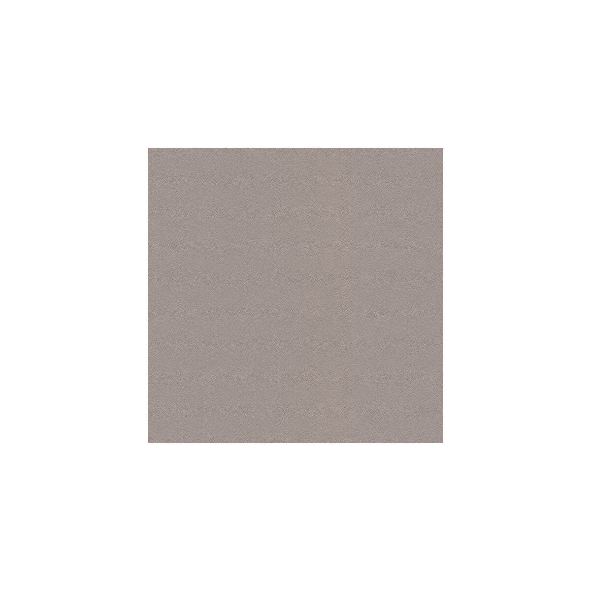 ultrasuede3271taupe0-ultrasuede-taupe-kravet-design