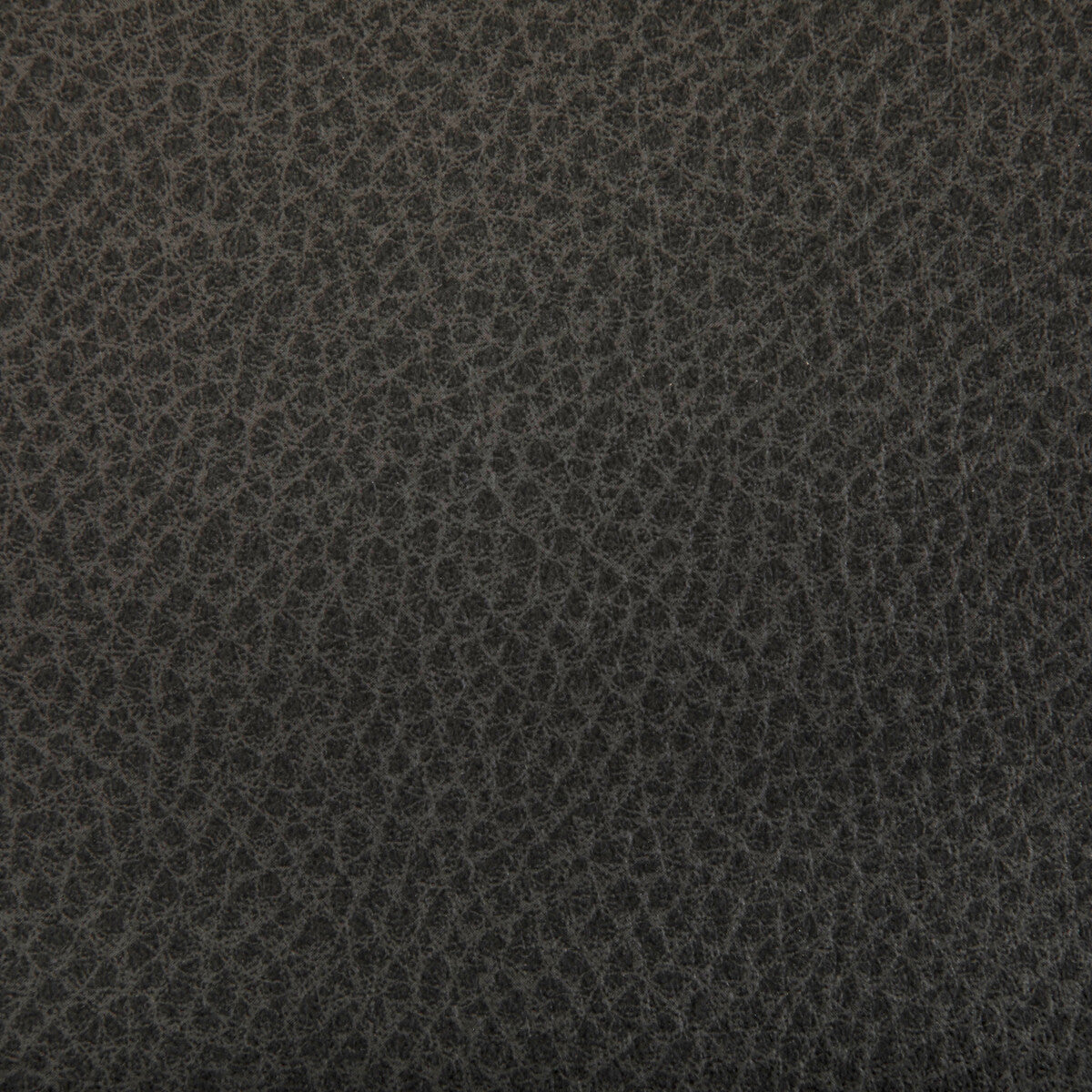 woolf520-woolf-java-kravet-contract