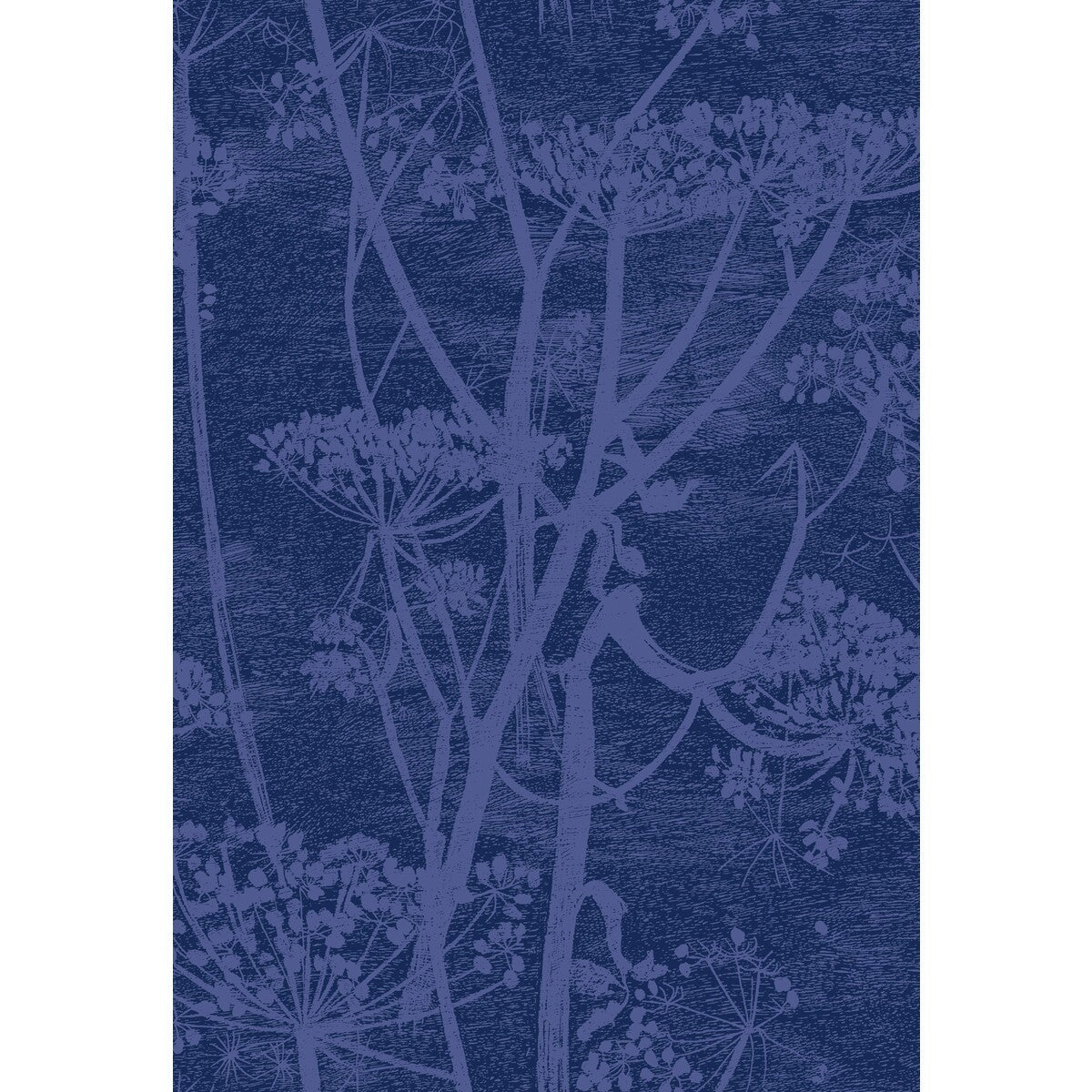 f1115016cs0-cow-parsley-hyacinth-ink-cole-son