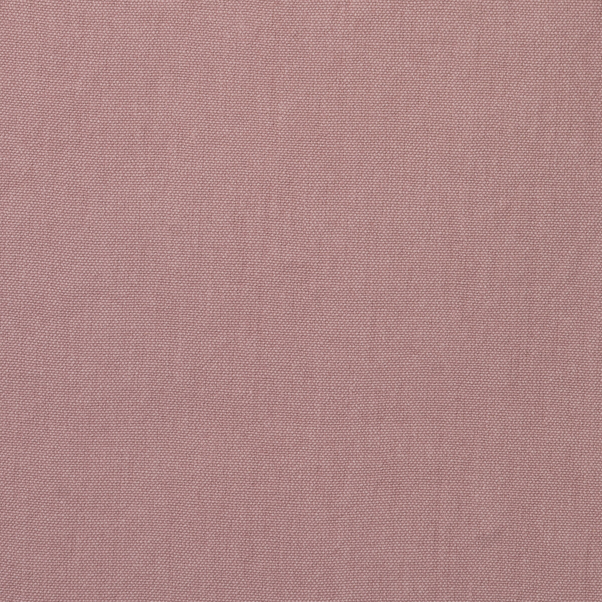am100452170-rocco-petal-kravet-couture