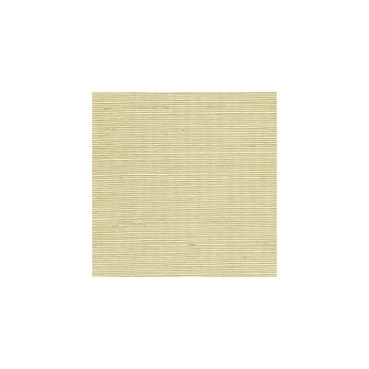 wss4525wt0-sisal-limeaid-winfield-thybony