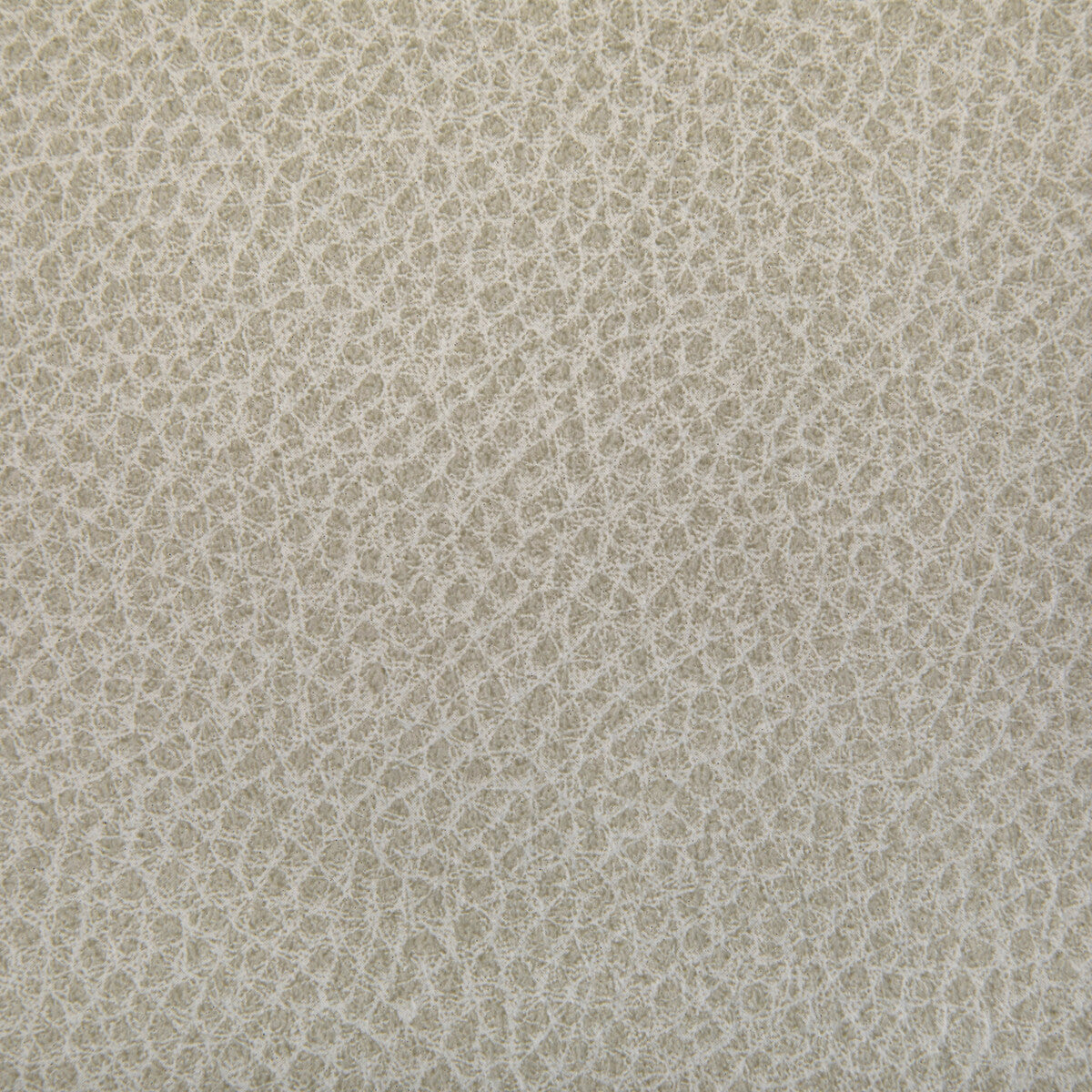 woolf10-woolf-limestone-kravet-contract