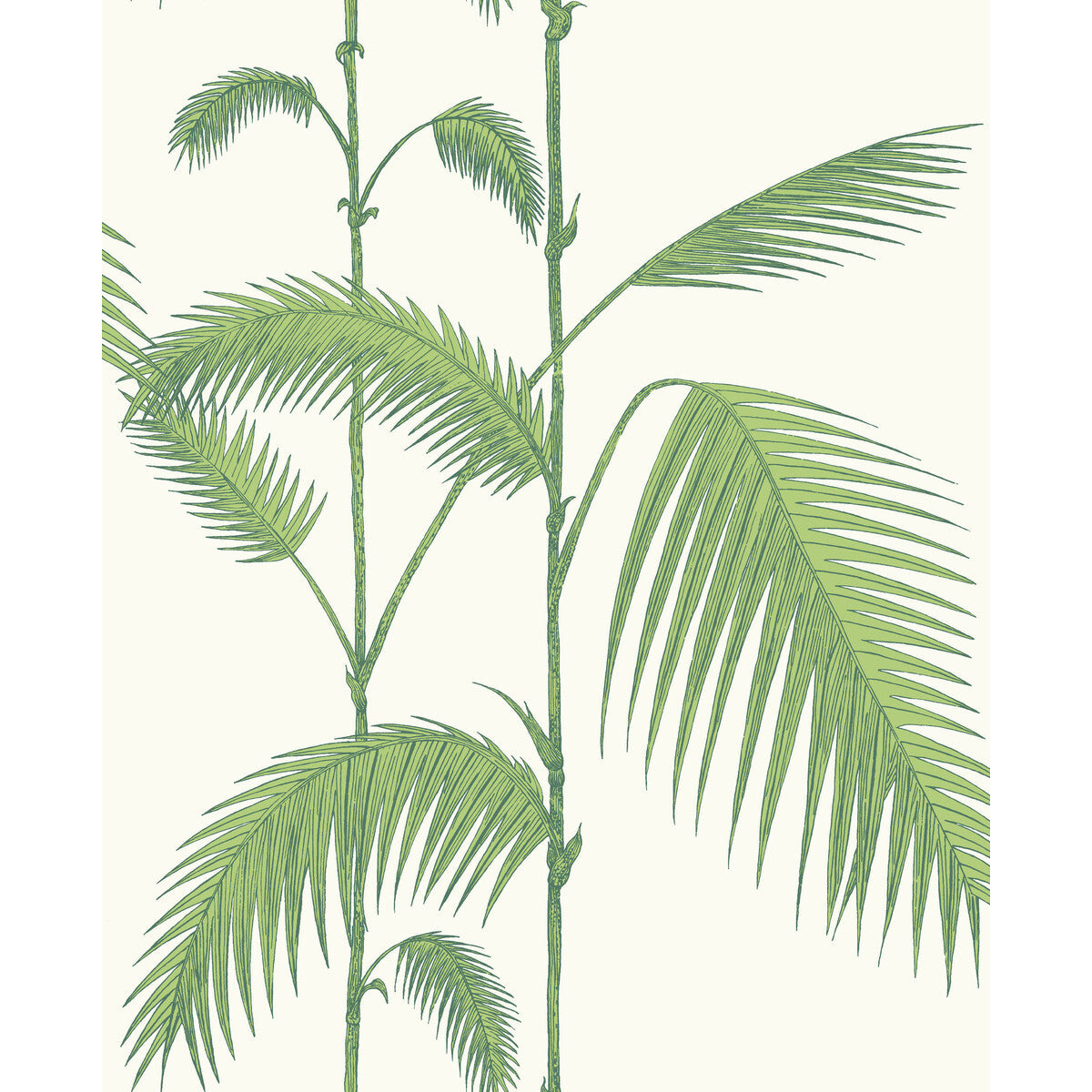 951009cs0-palm-leaves-greenwhite-cole-son