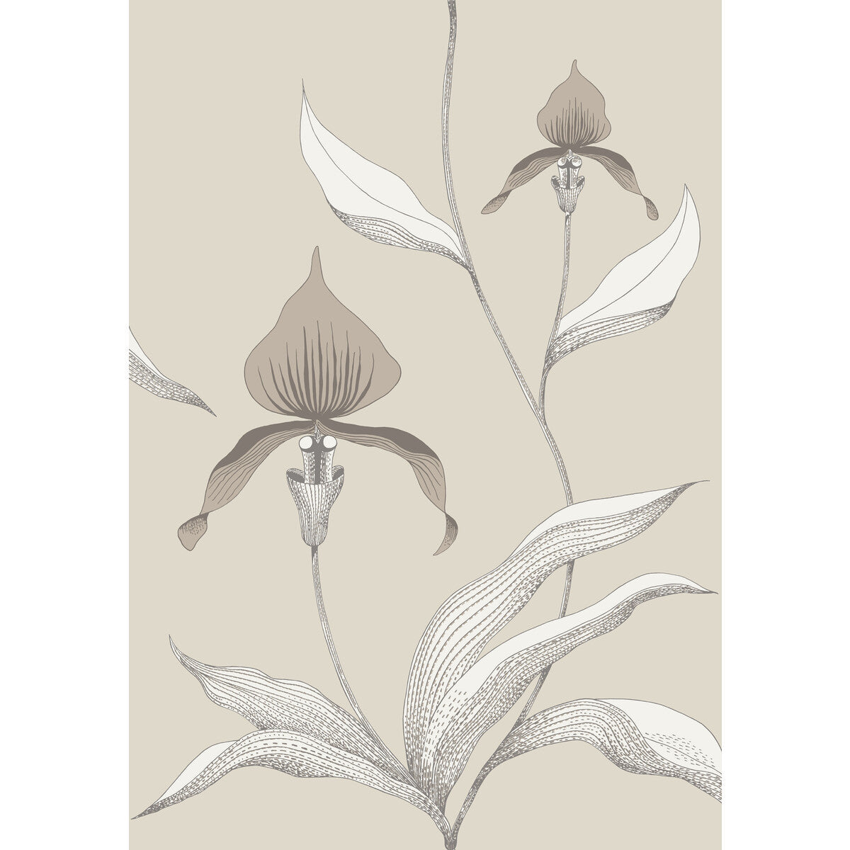 9510058cs0-orchid-linenwhite-cole-son