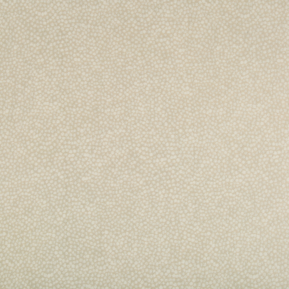 35064160-pebbledot-sand-kravet-basics