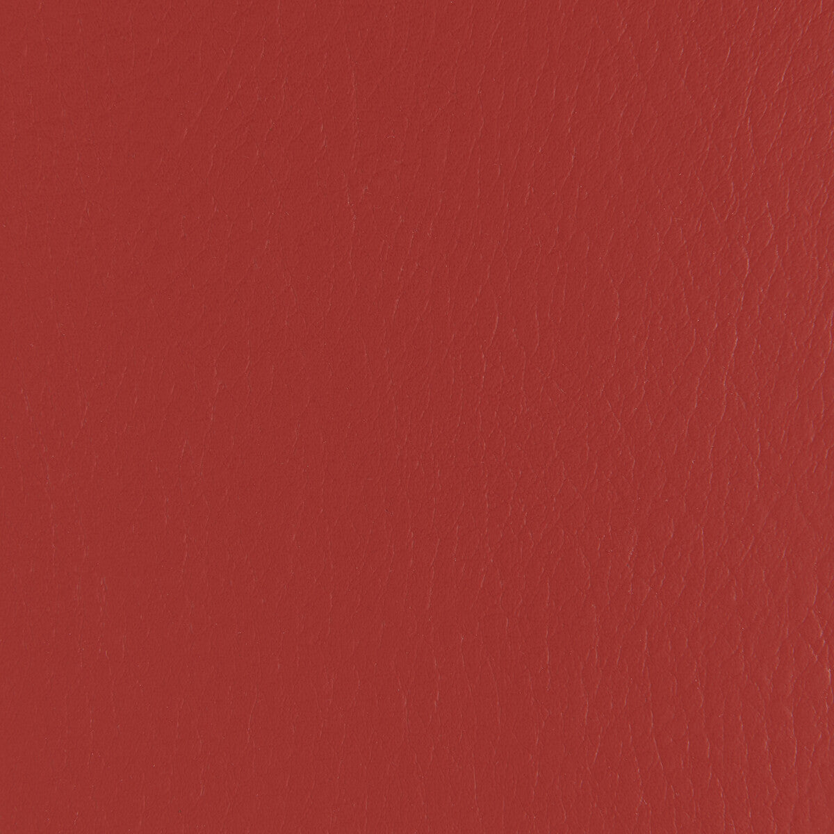 forza190-forza-chili-kravet-contract