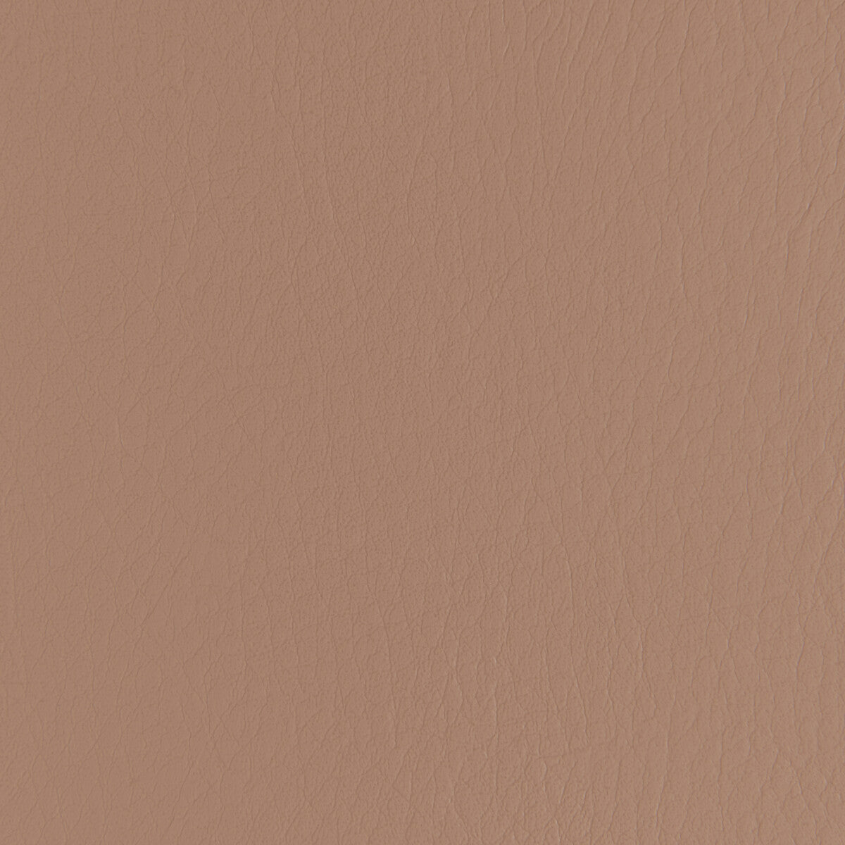 forza6100-forza-praline-kravet-contract