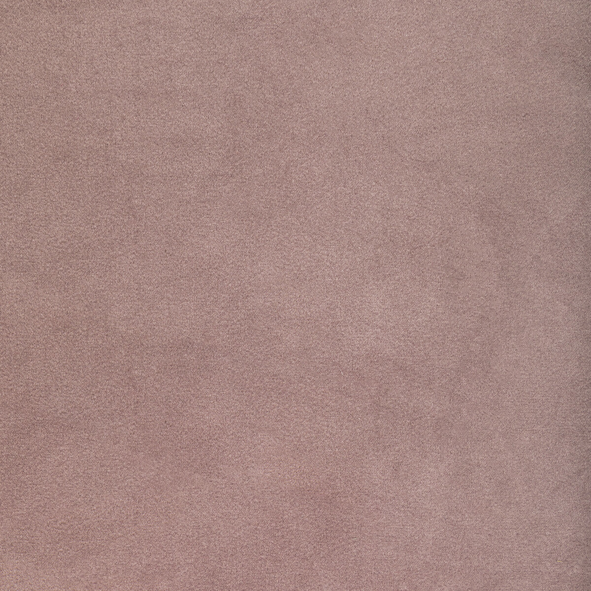 366521100-rocco-velvet-wisteria-kravet-contract