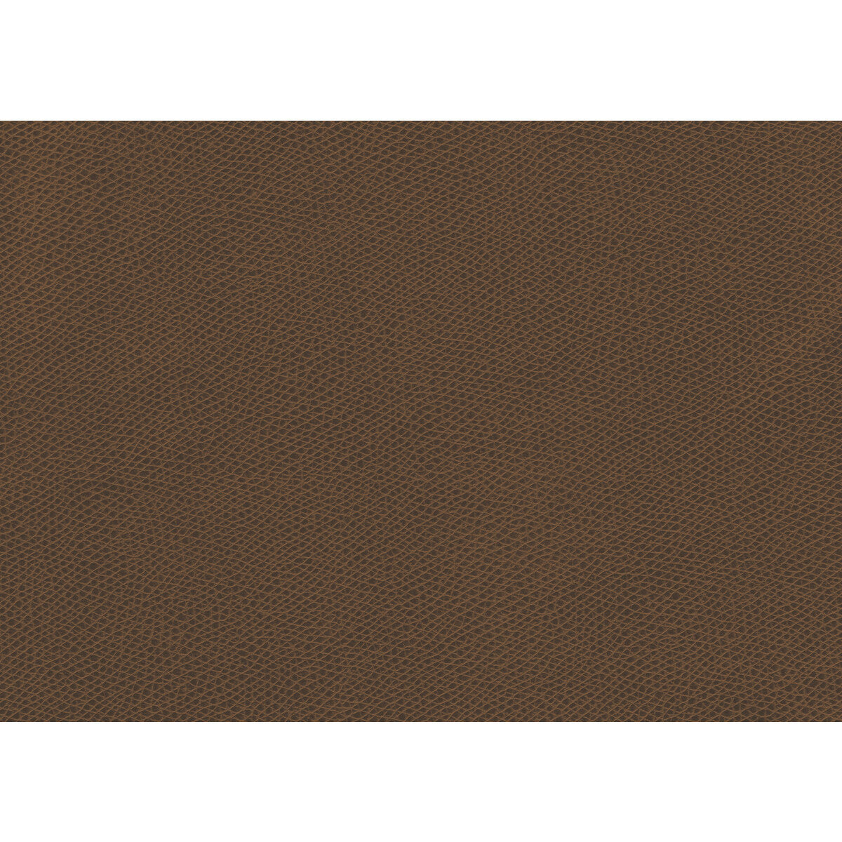 ophidian6160-ophidian-maple-kravet-contract