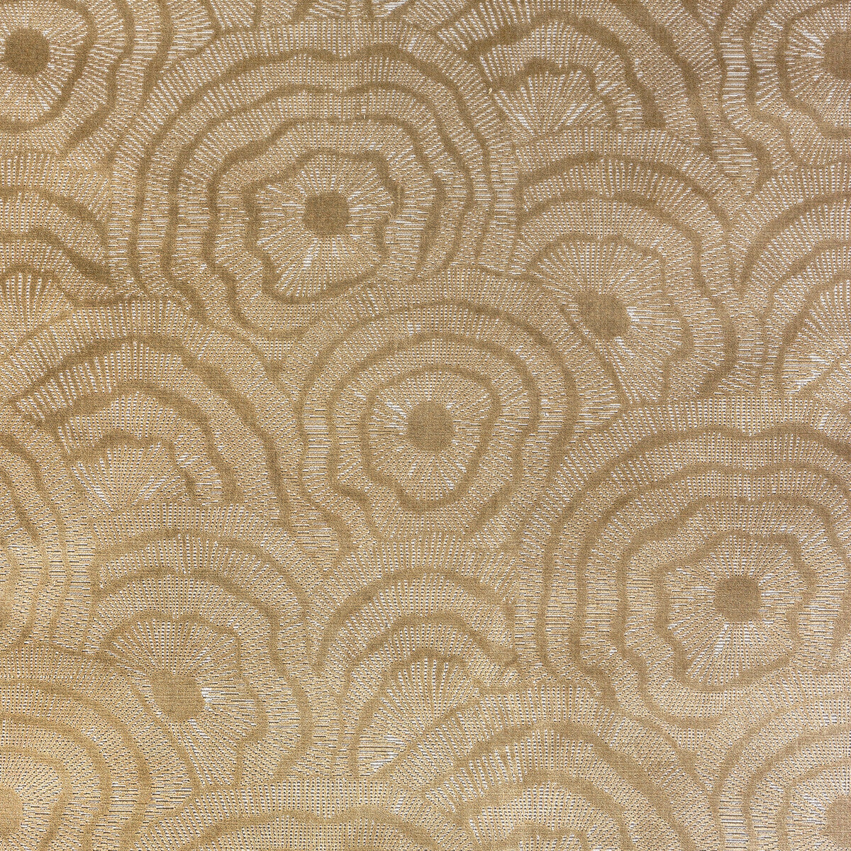 363664160-panache-velvet-gold-kravet-couture