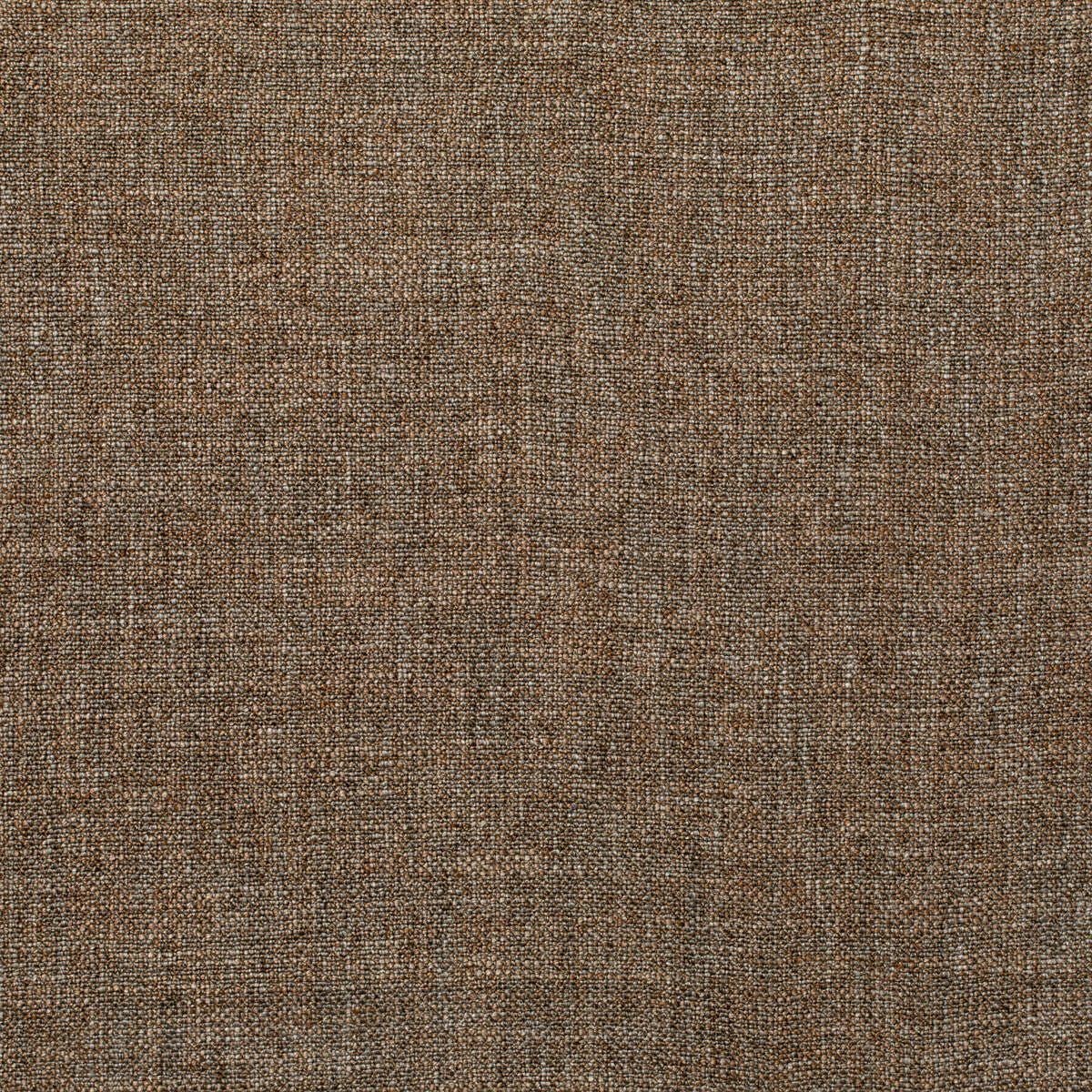 35904160-pasaro-vicuna-kravet-couture