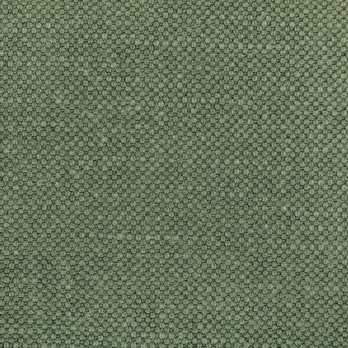 36282300-carson-olive-kravet-basics