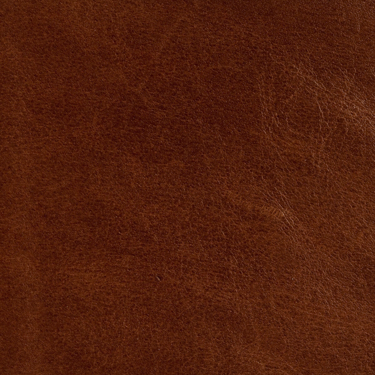 l-brockwaytoffee0-kravet-couture-l-brockway-toffee-kravet-couture