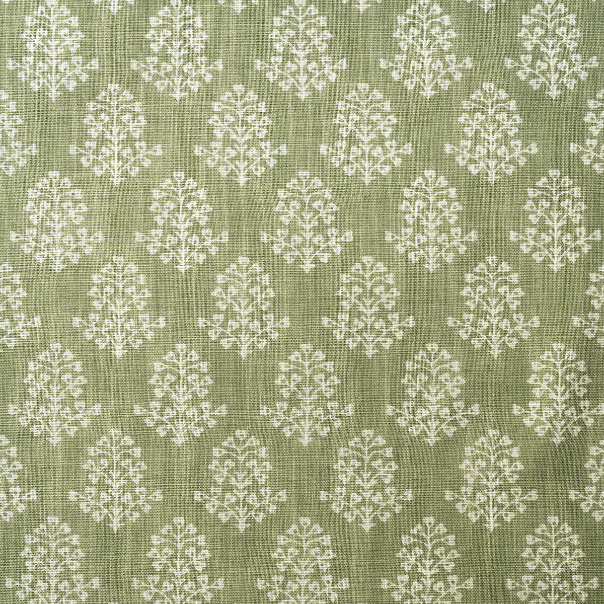 am1003841230-sprig-fennel-kravet-couture