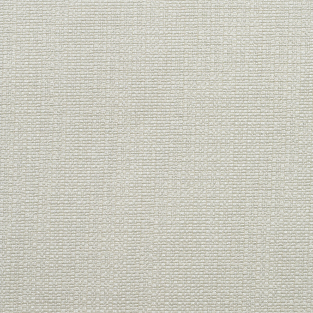 am10039010-birch-chalk-kravet-couture