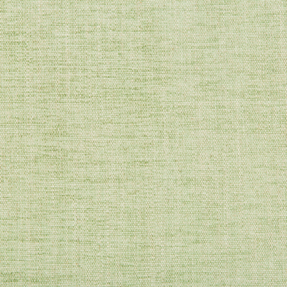 35297130-rutledge-leaf-kravet-basics