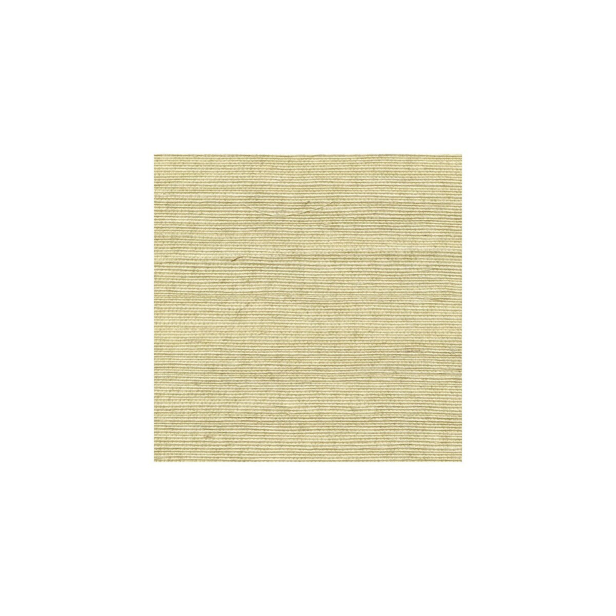 wss4508wt0-sisal-pumice-winfield-thybony