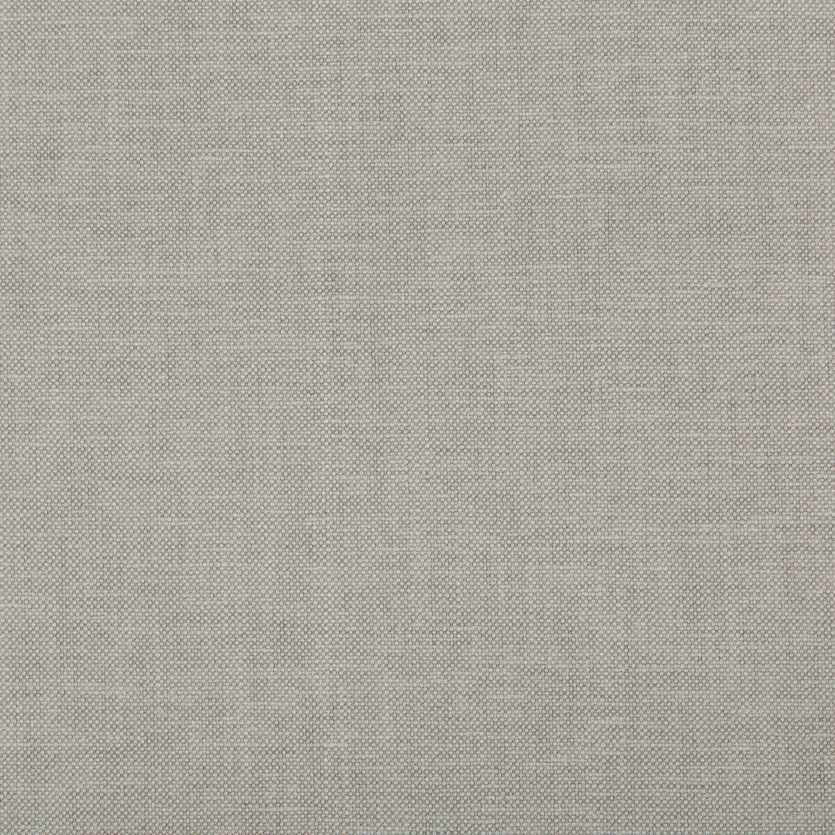 35543110-oxfordian-grey-kravet-basics