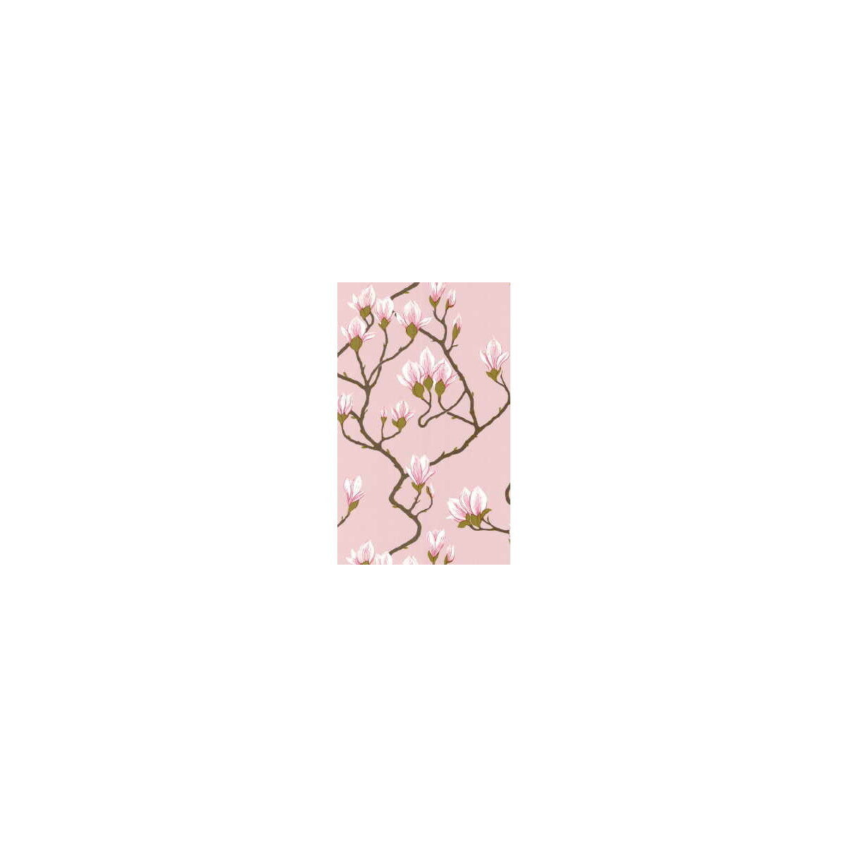 723009cs0-magnolia-pink-cole-son