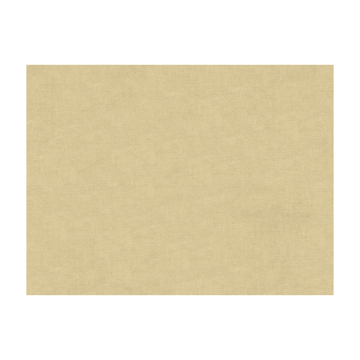 801315011110-charmant-velvet-ecru-brunschwig-fils