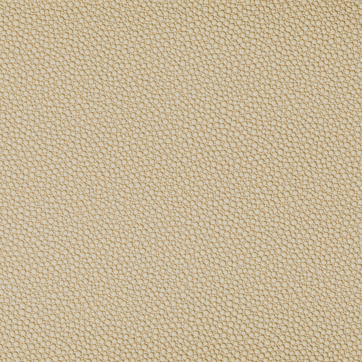 fetch16060-fetch-sandbar-kravet-contract