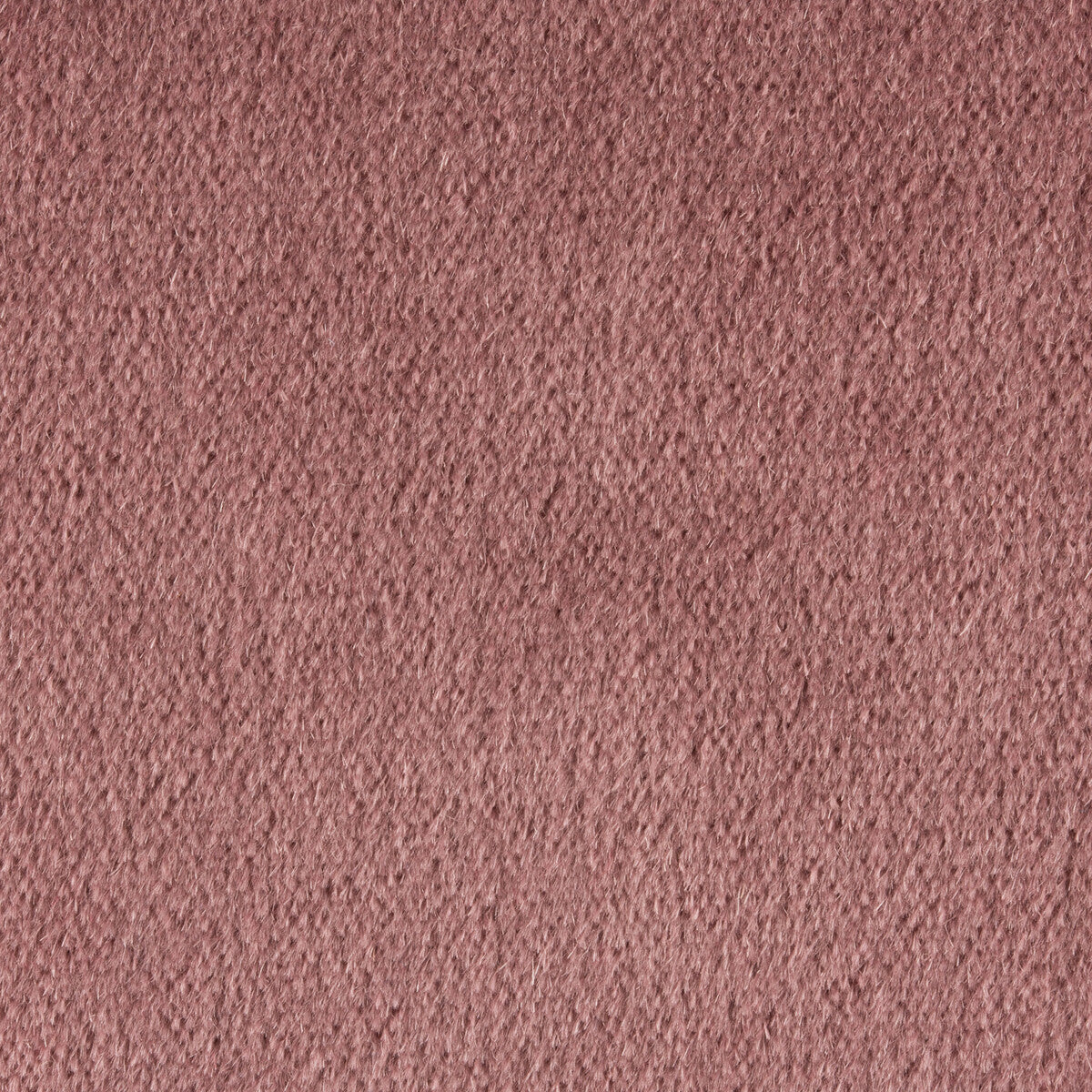 342597010-plazzo-mohair-dusty-rose-kravet-couture