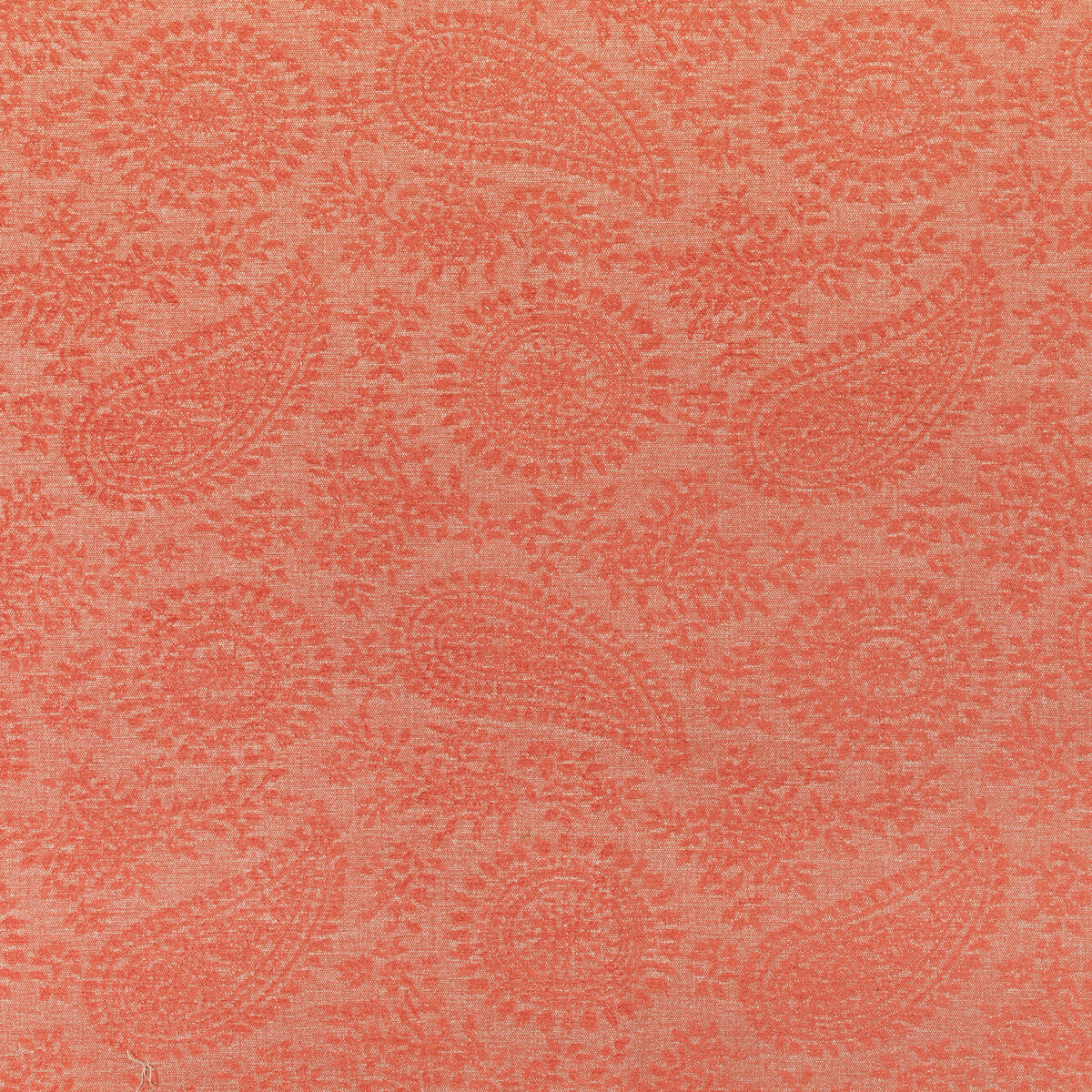 36269120-wylder-coral-kravet-contract