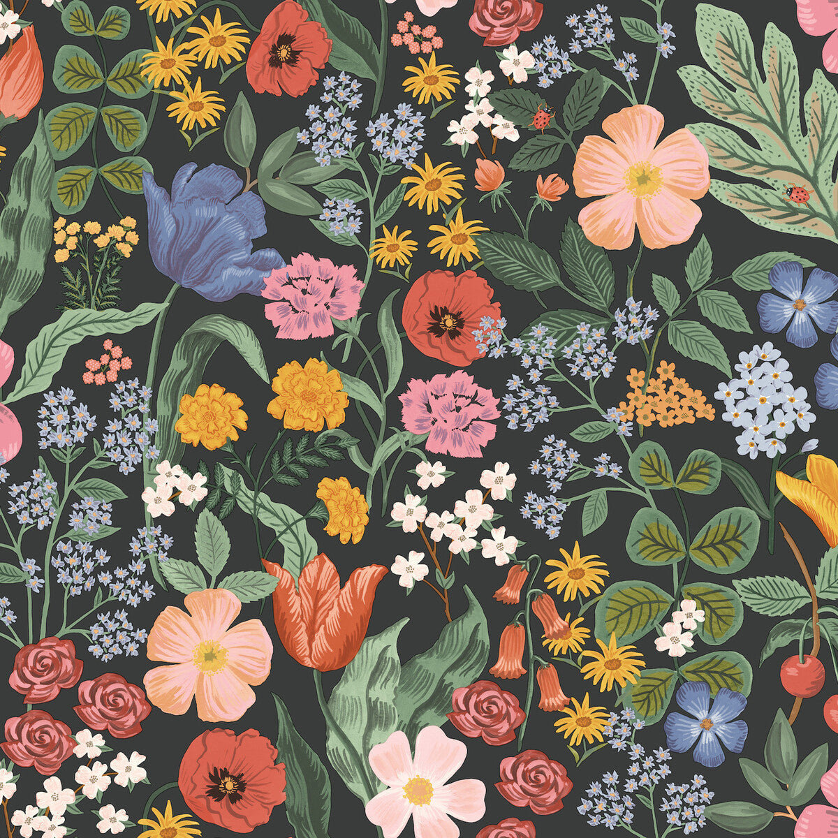 w42968170-kravet-design-w4296-817-kravet-design