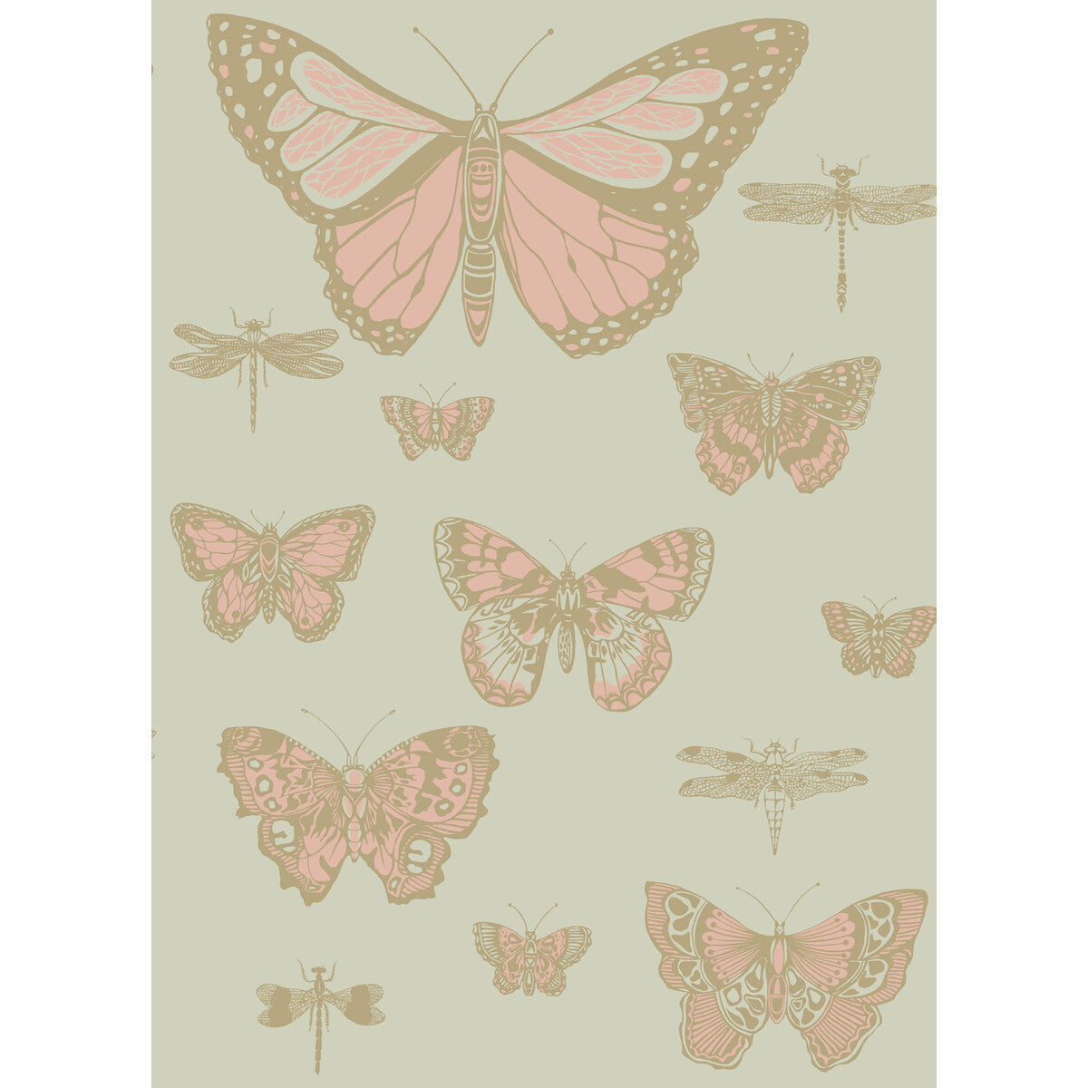 10315063cs0-butterflies-dragonflies-pink-on-oliv-cole-son