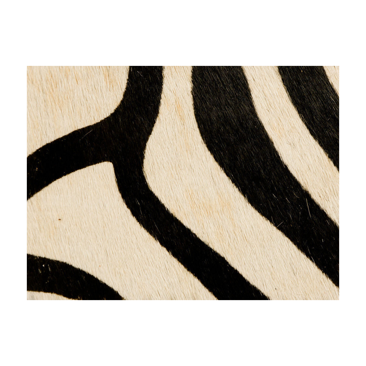 l-coveted810-painted-zebra-natural-kravet-couture