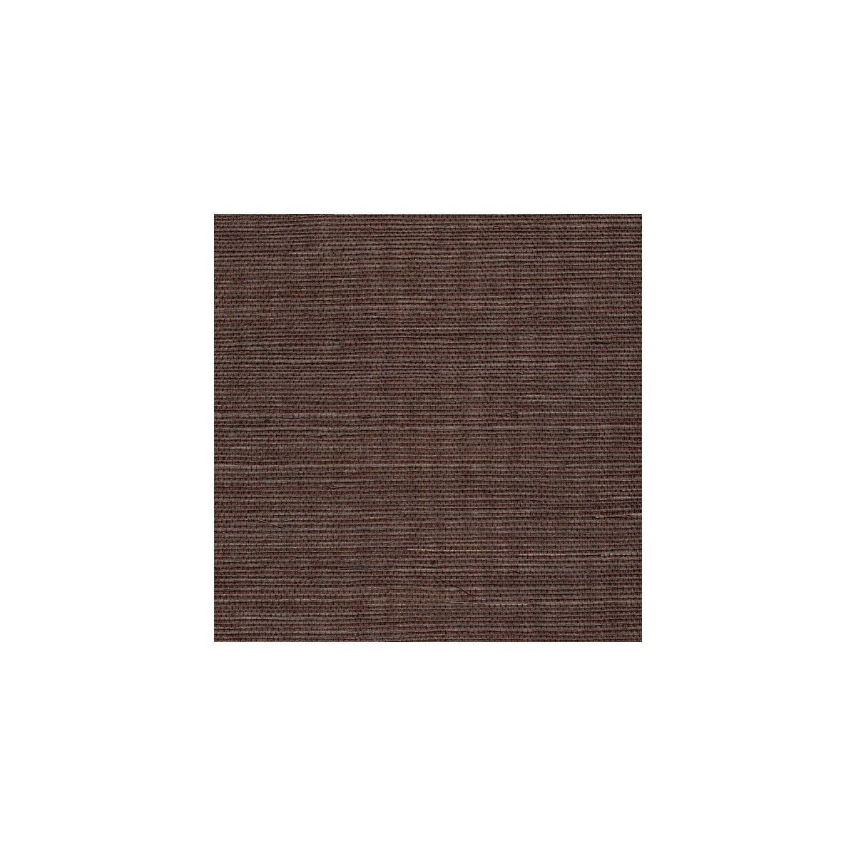 wss4579wt0-sisal-charcoal-winfield-thybony