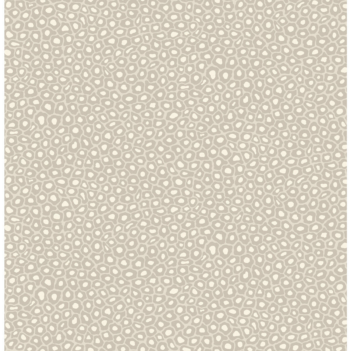 1096030cs0-senzo-spot-stone-white-cole-son