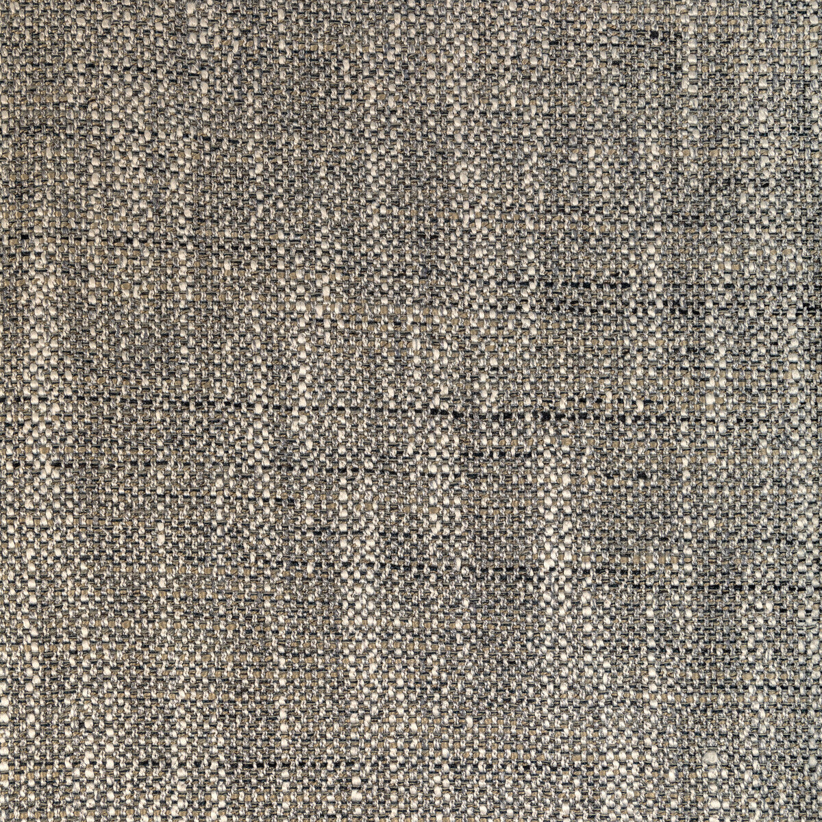 365378160-kravet-basics-36537-816