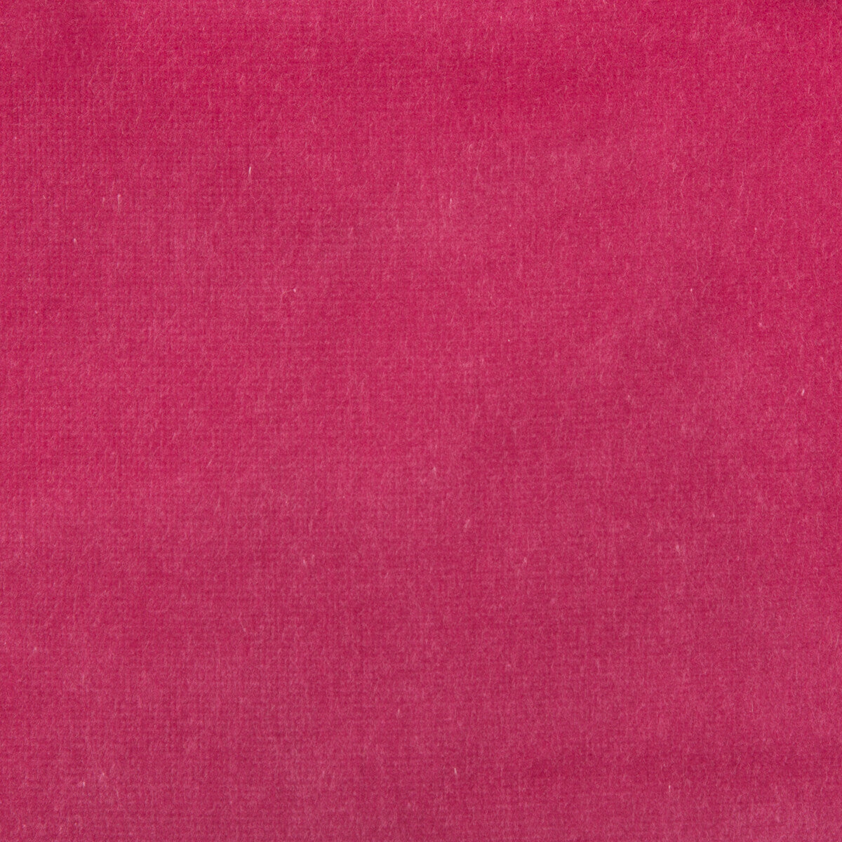 33062970-velvet-treat-hot-pink-kravet-couture