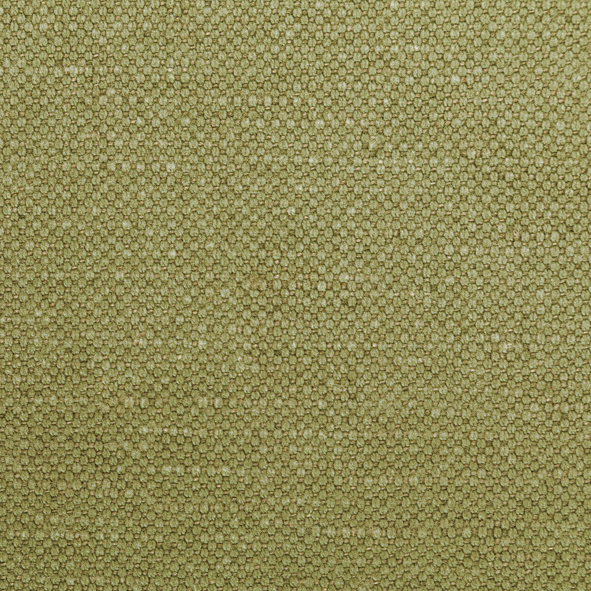 36282230-carson-dill-kravet-basics