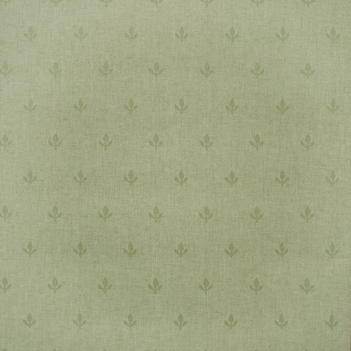 amw1007730-crocus-leaf-kravet-couture