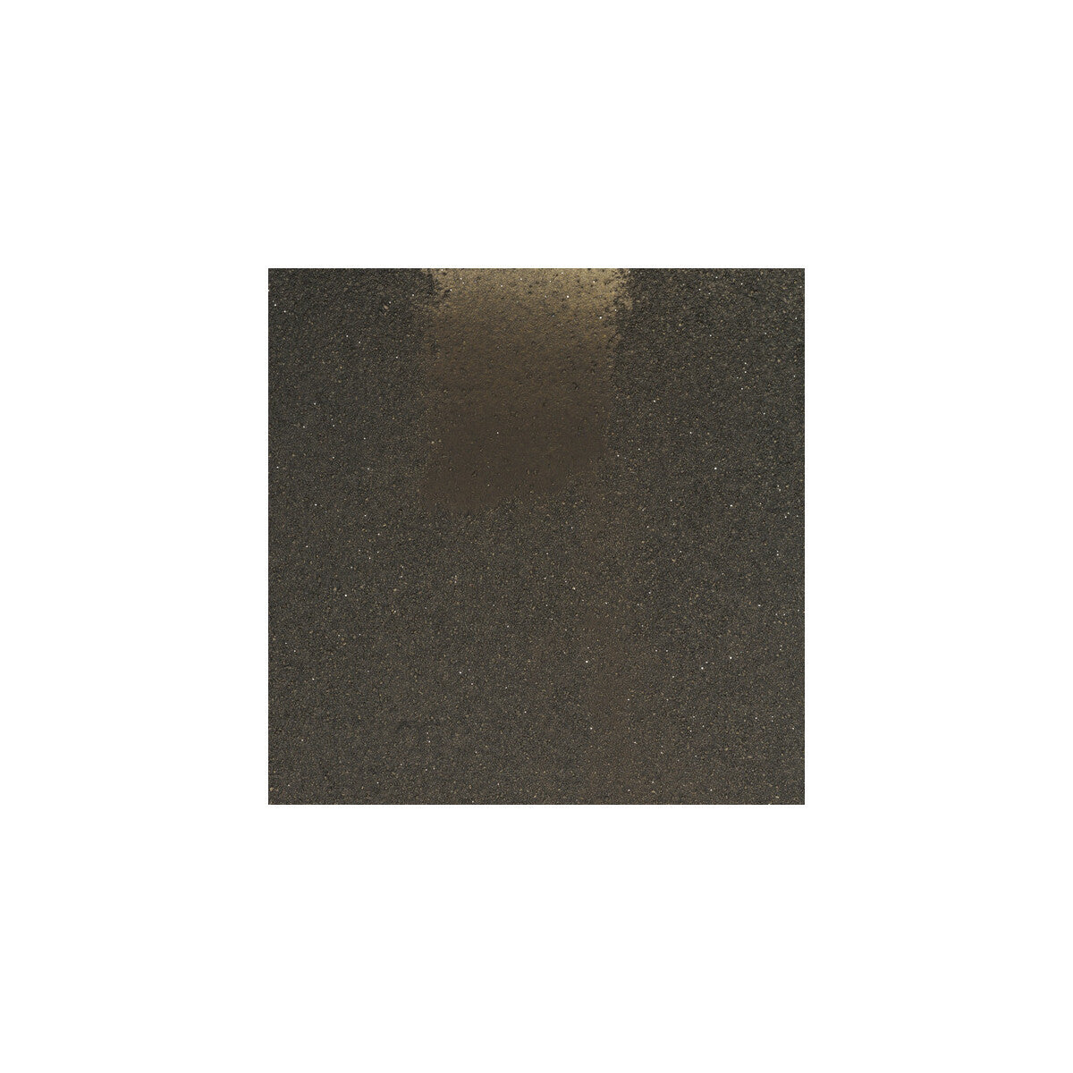wue2016wt0-leonis-winfield-thybony
