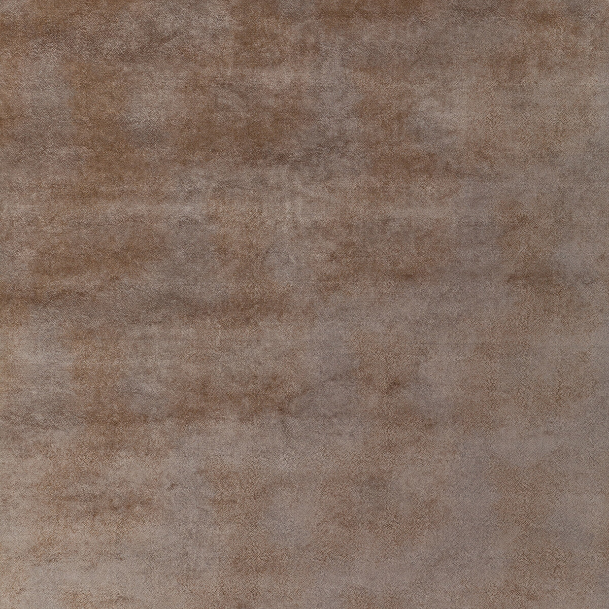 36336170-gilded-dust-blush-kravet-couture