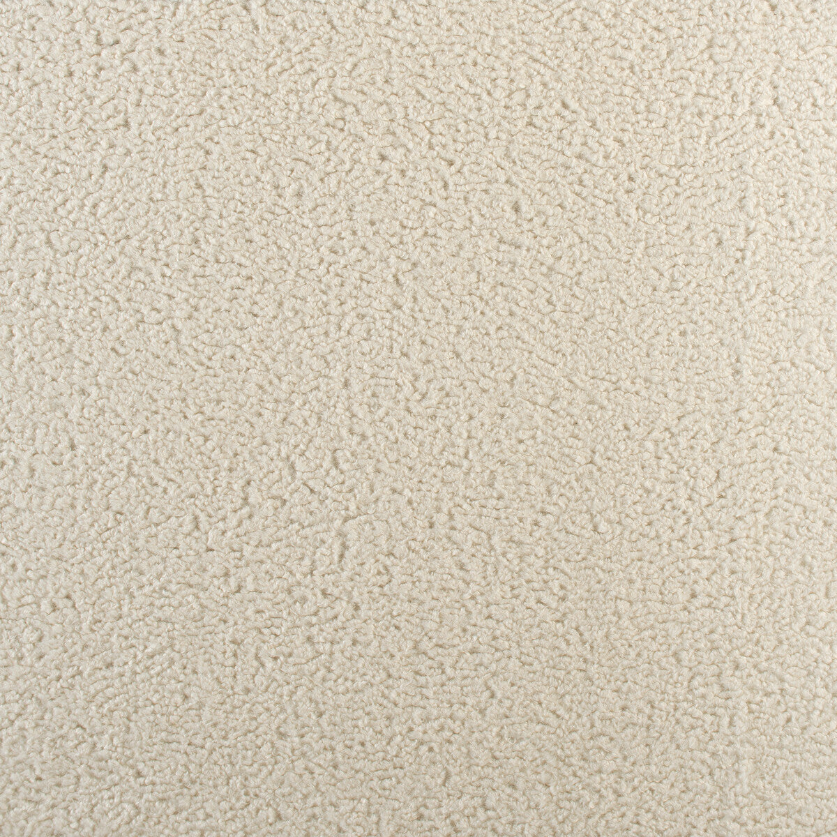 3531010-curly-ivory-kravet-basics