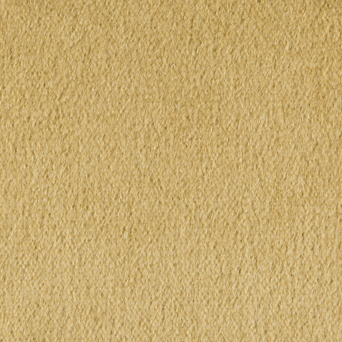 342594050-plazzo-mohair-desert-kravet-couture