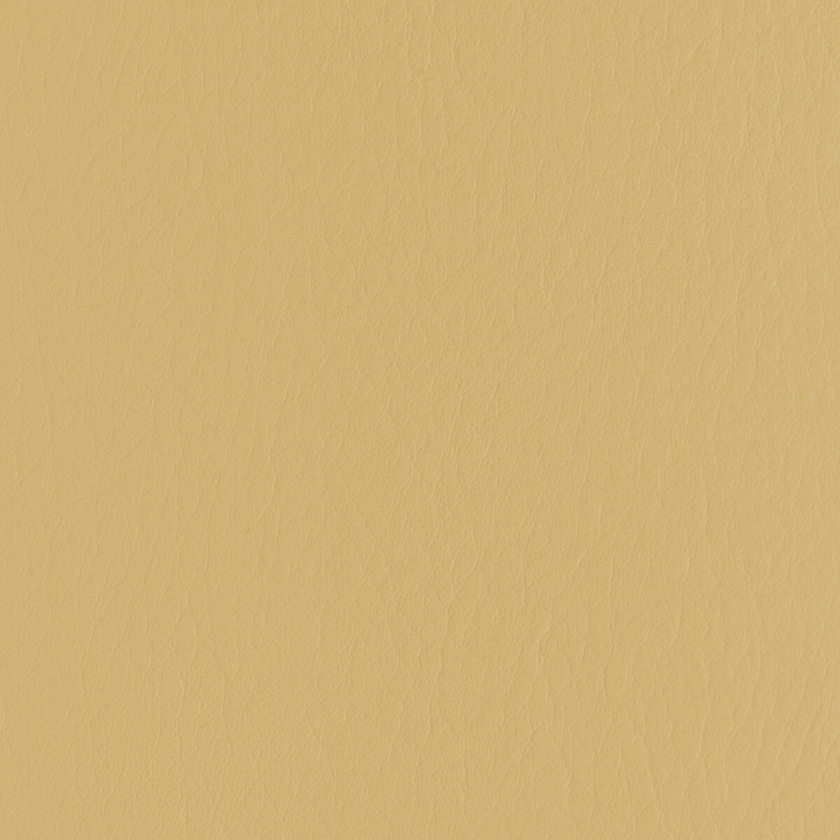 forza4160-forza-butterscotch-kravet-contract