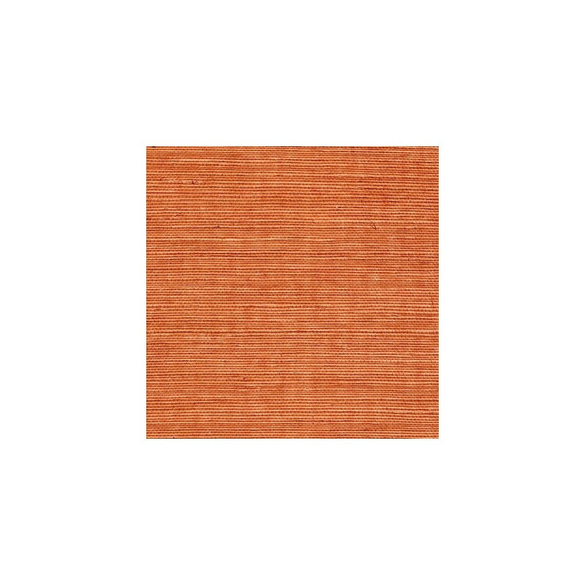 wss4541wt0-sisal-amber-winfield-thybony