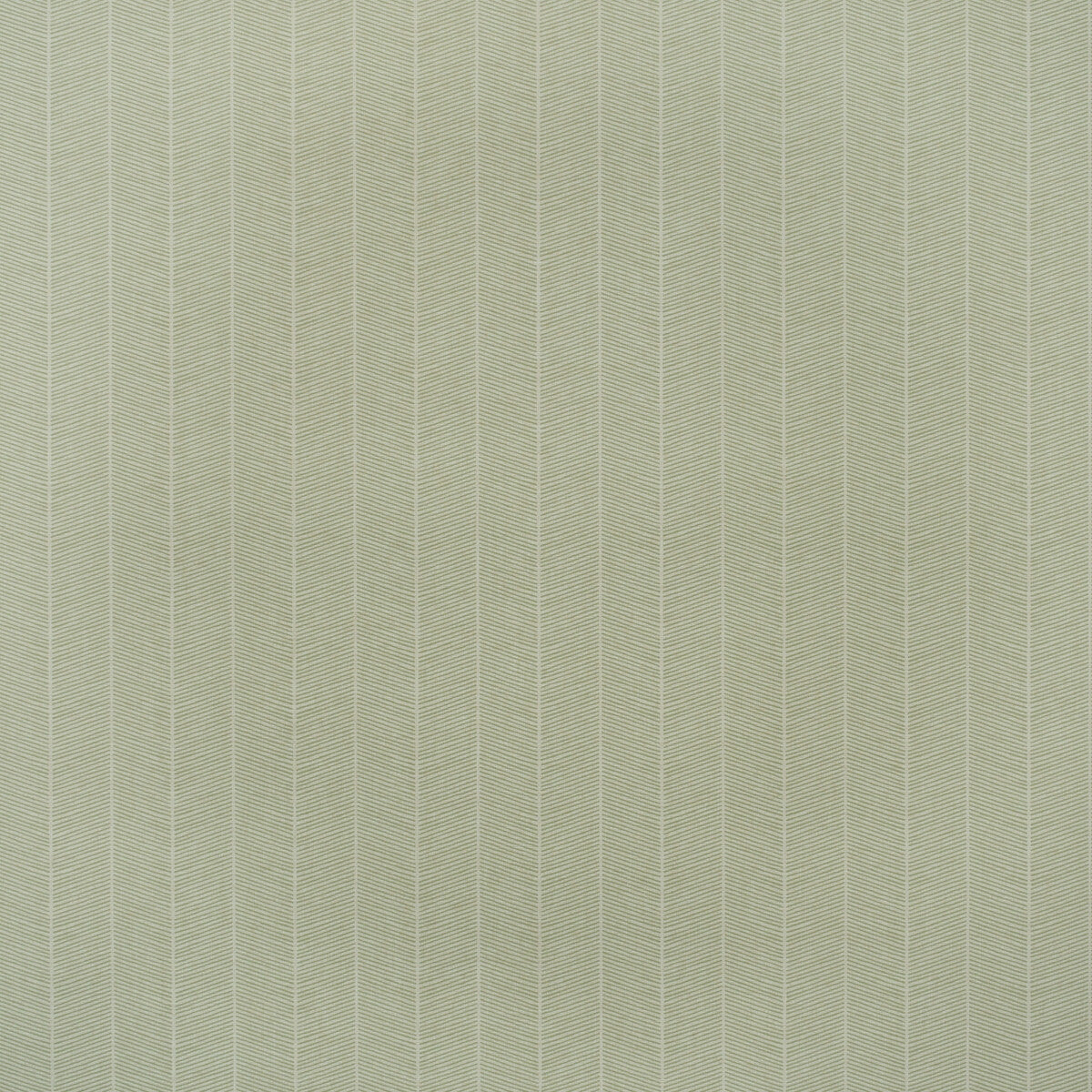 amw1007830-hornbeam-leaf-kravet-couture