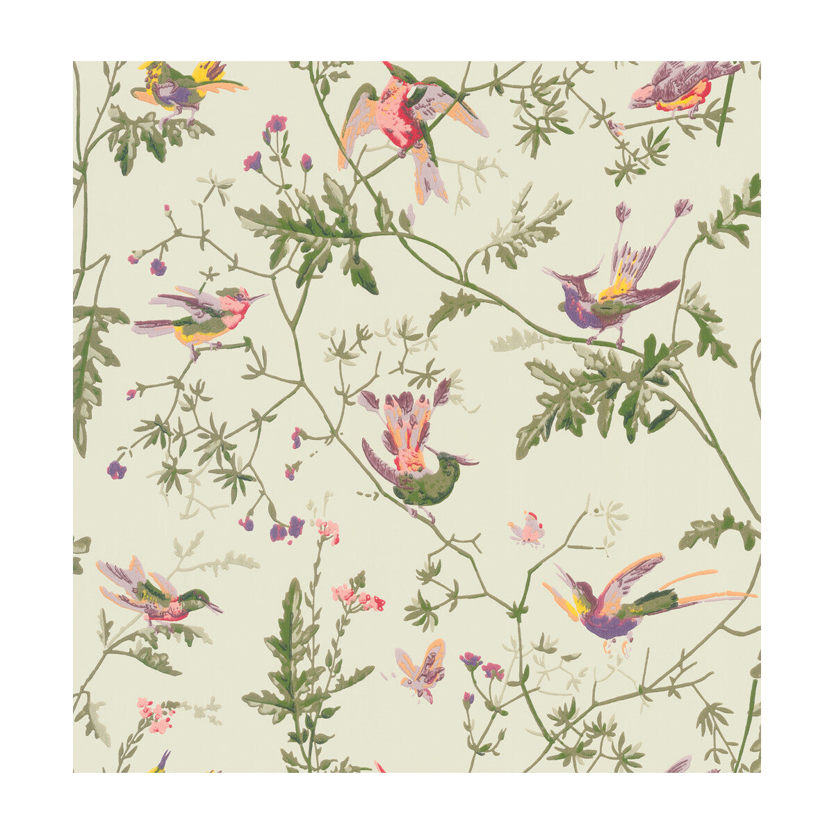 10014070cs0-hummingbirds-green-multi-colour-cole-son