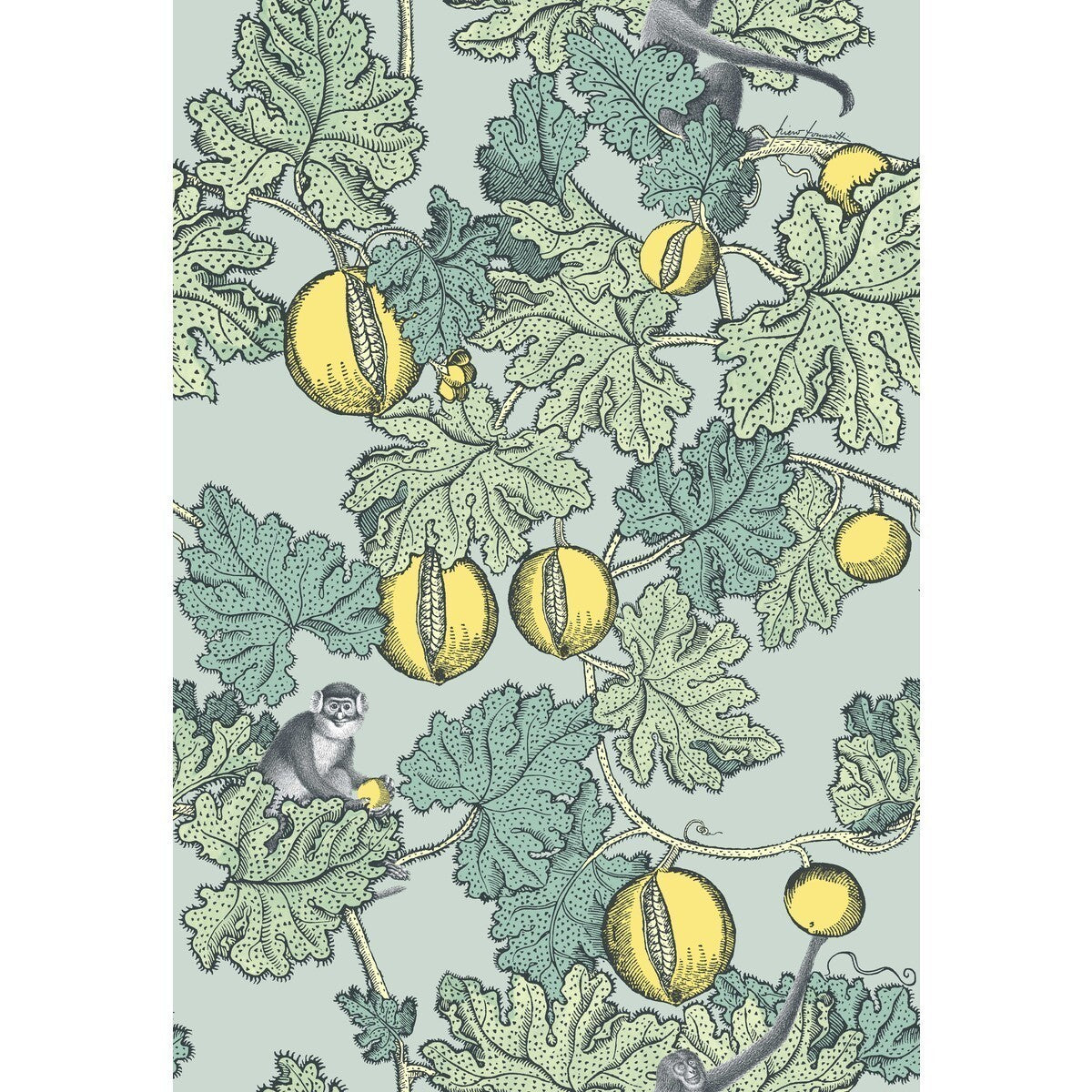 1141002cs0-frutto-proibito-seafoam-lemon-cole-son